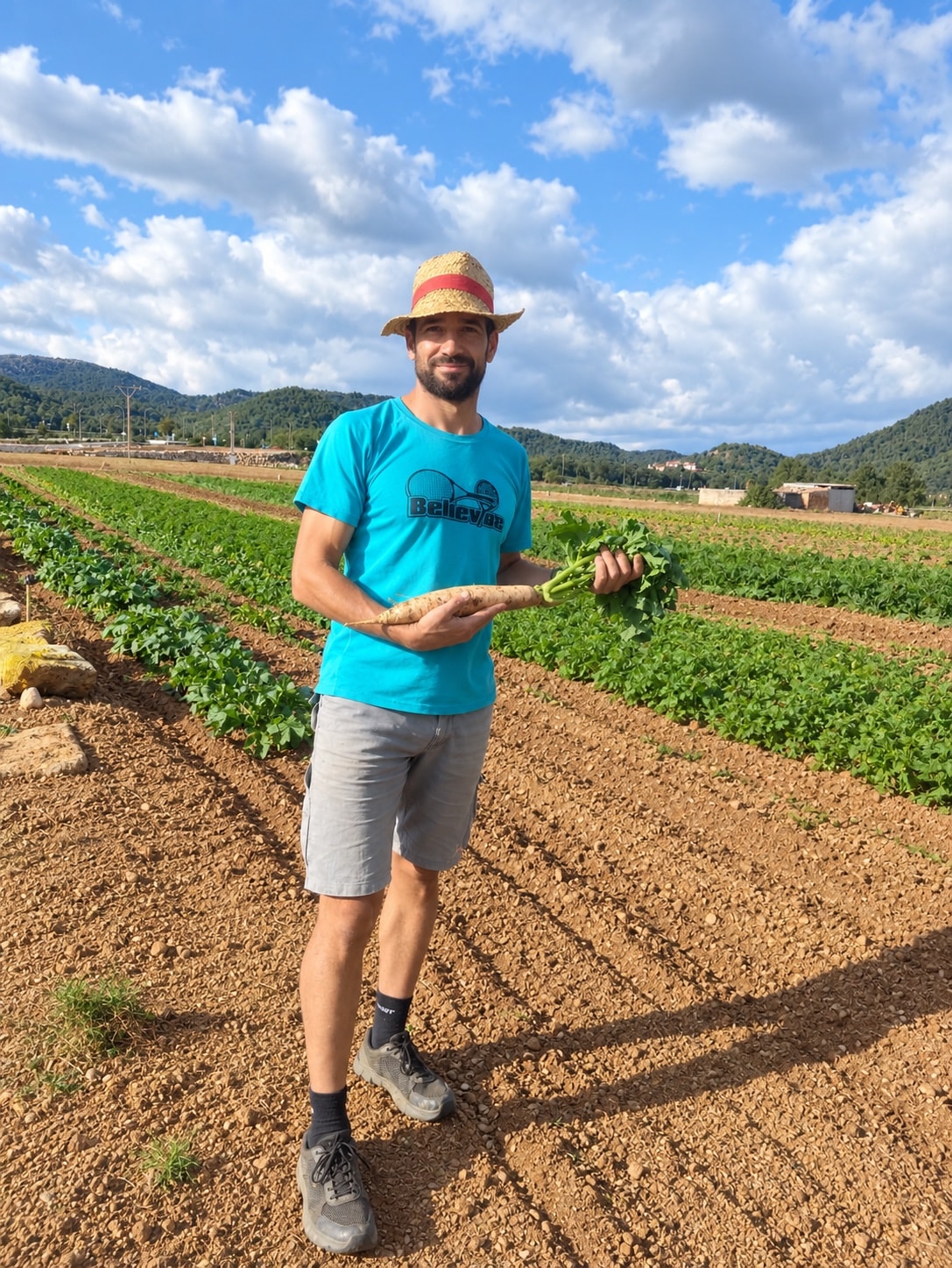 En Biel Payeras amb capell de palla i un rave acabat de collir enmig dels solcs d'Hort Mieres